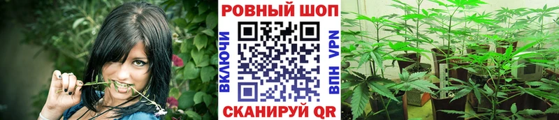 Продажа наркотиков Чехов Alpha PVP  МЕФ  Псилоцибиновые грибы  Бошки Шишки  АМФ 