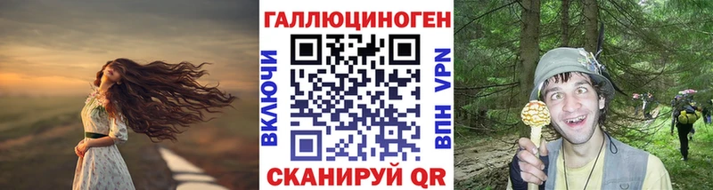 купить наркоту  Чехов  Псилоцибиновые грибы Psilocybine cubensis 
